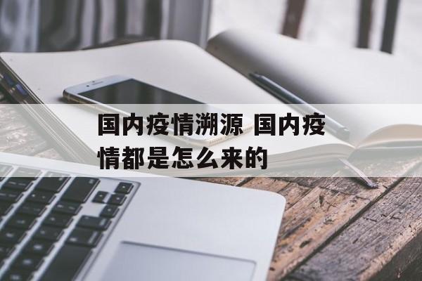 国内疫情溯源 国内疫情都是怎么来的